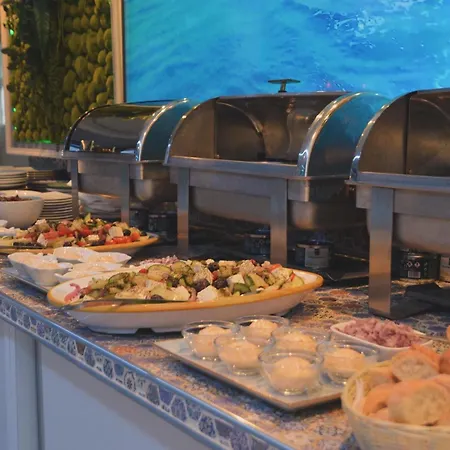 Boutique Citadel אפורי נורד