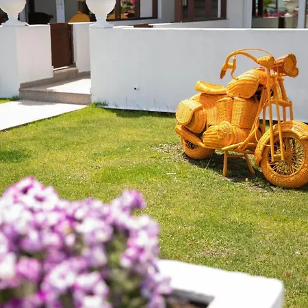 Boutique Citadel 5* אפורי נורד