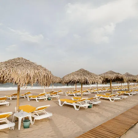 Boutique Citadel אפורי נורד